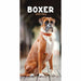 Carousel Worldwide, Boxers 2026 Slim Diary Planner