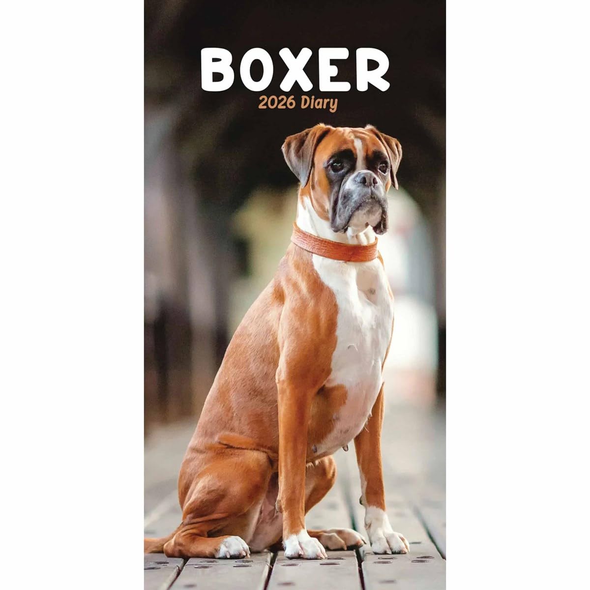 Carousel Worldwide, Boxers 2026 Slim Diary Planner