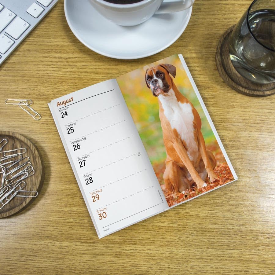 Carousel Worldwide, Boxers 2026 Slim Diary Planner