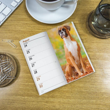 Carousel Worldwide, Boxers 2026 Slim Diary Planner
