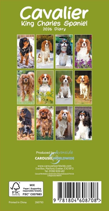 Carousel Worldwide, Cavalier King Charles Spaniels 2026 Slim Diary Planner