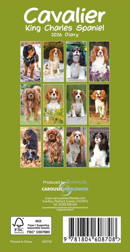 Carousel Worldwide, Cavalier King Charles Spaniels 2026 Slim Diary Planner