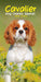 Carousel Worldwide, Cavalier King Charles Spaniels 2026 Slim Diary Planner