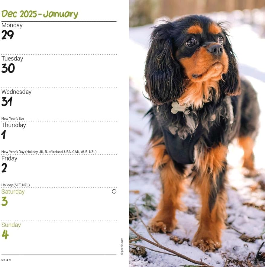 Carousel Worldwide, Cavalier King Charles Spaniels 2026 Slim Diary Planner