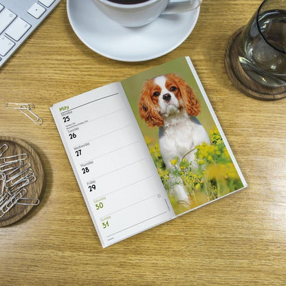 Carousel Worldwide, Cavalier King Charles Spaniels 2026 Slim Diary Planner