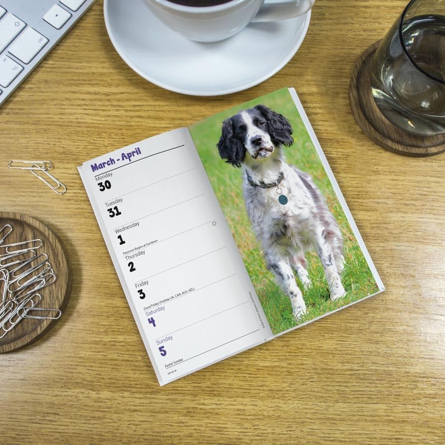 Carousel Worldwide, English Springer Spaniels 2026 Slim Diary Planner