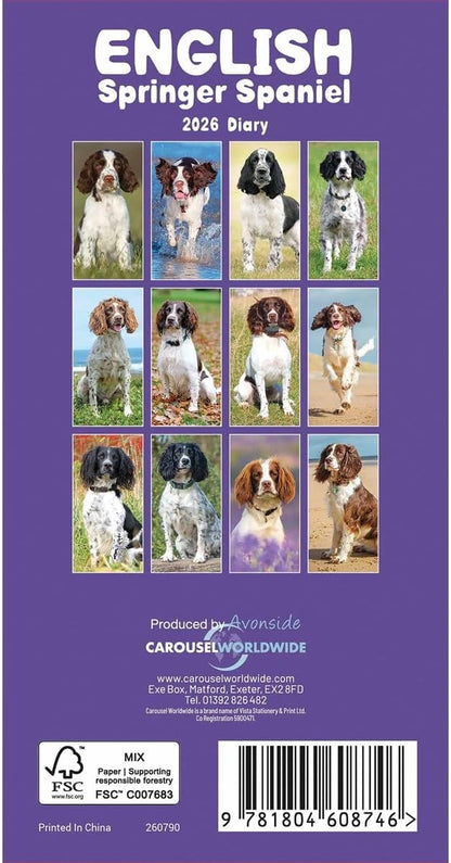 Carousel Worldwide, English Springer Spaniels 2026 Slim Diary Planner