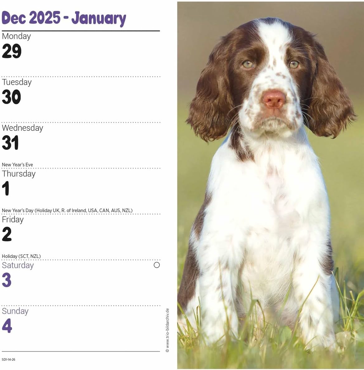 Carousel Worldwide, English Springer Spaniels 2026 Slim Diary Planner