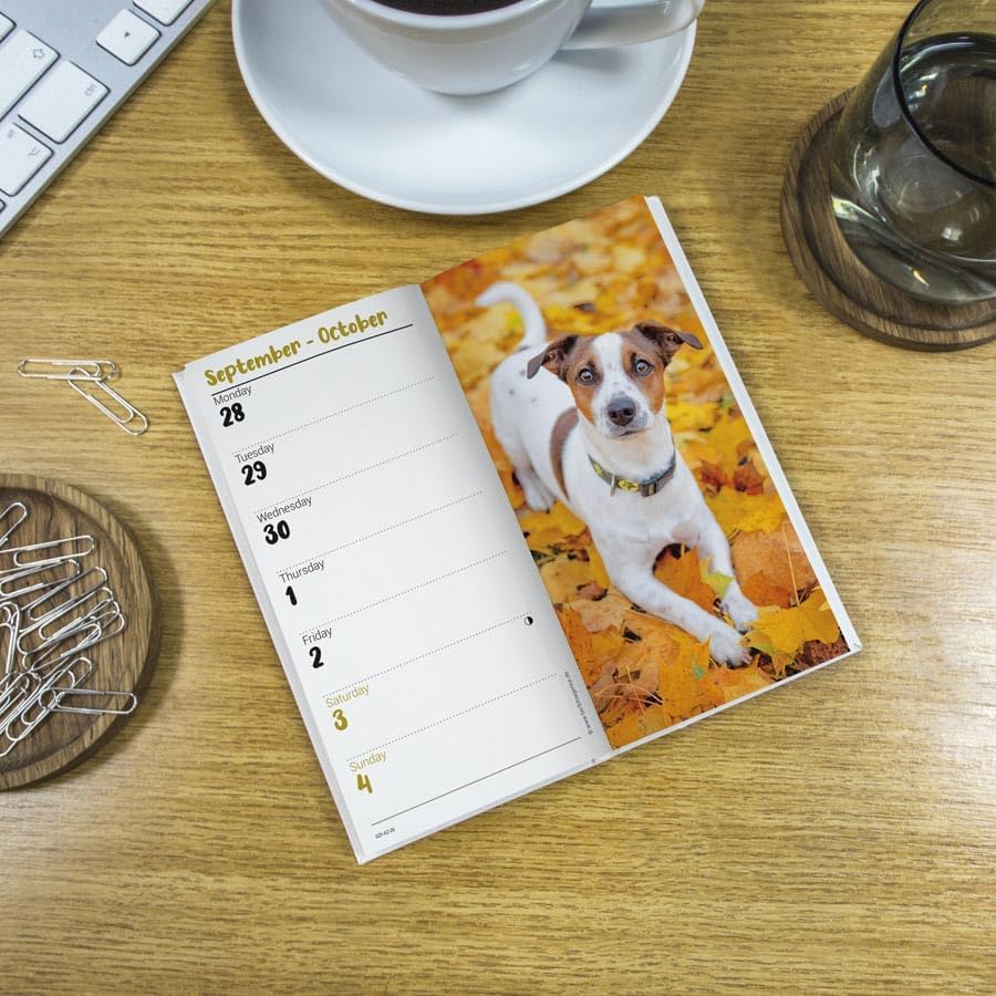 Carousel Worldwide, Jack Russell Terriers 2026 Slim Diary Planner