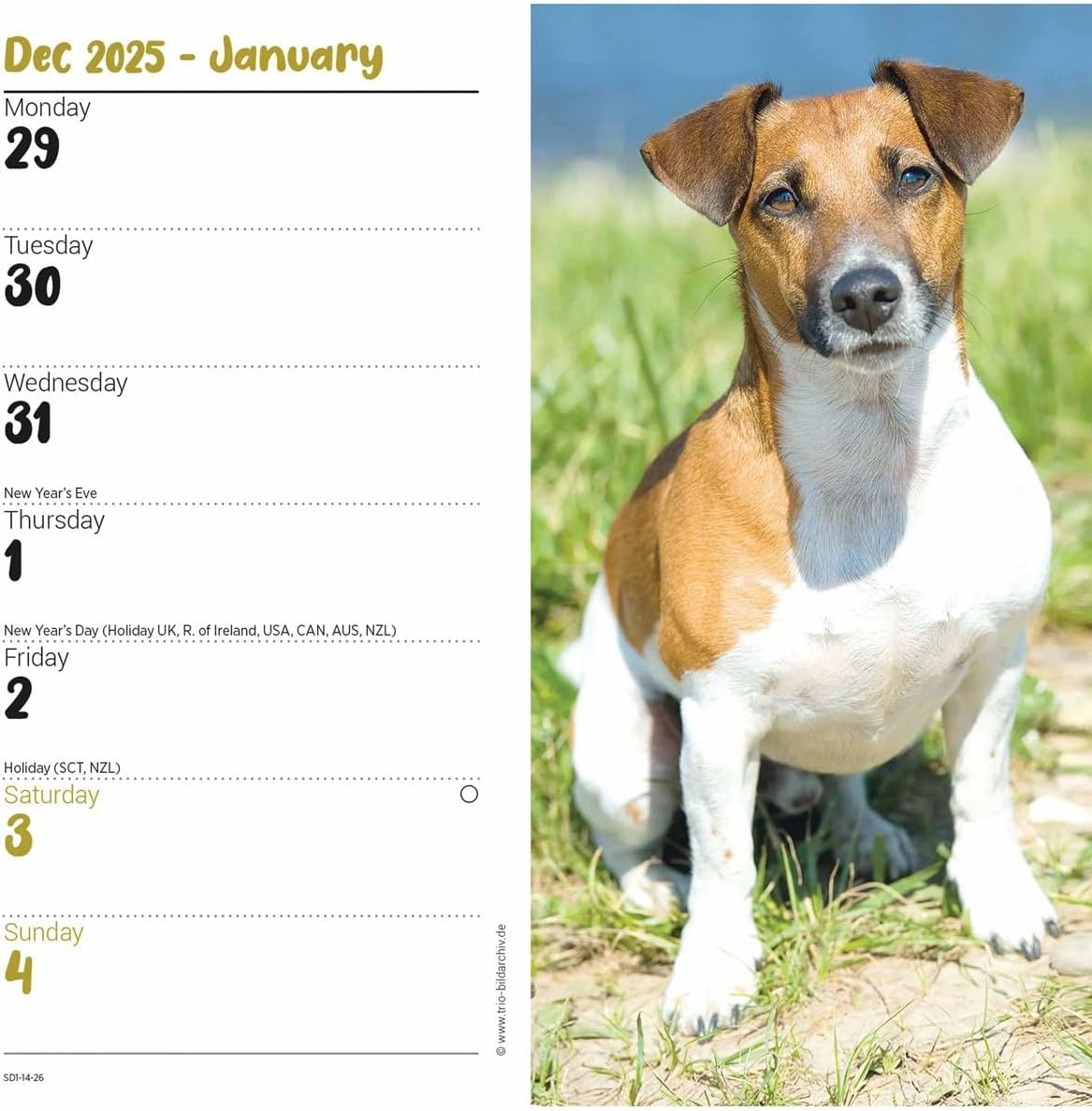 Carousel Worldwide, Jack Russell Terriers 2026 Slim Diary Planner