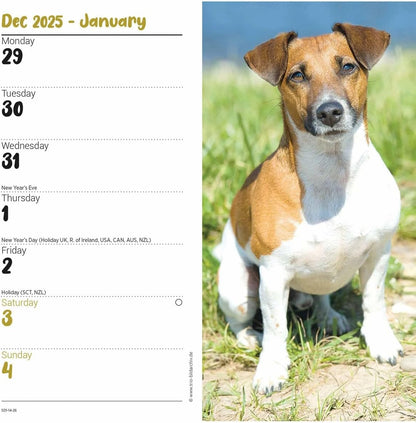 Carousel Worldwide, Jack Russell Terriers 2026 Slim Diary Planner