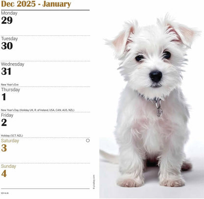 Carousel Worldwide, West Highland White Terriers 2026 Slim Diary Planner