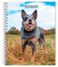 Blue Heelers | 2026 6 x 7.75 Inch Spiral-Bound Wire-O Weekly Engagement Planner Calendar | New Full-Color Image Every Week | BrownTrout | Animals Dog Breeds Pets