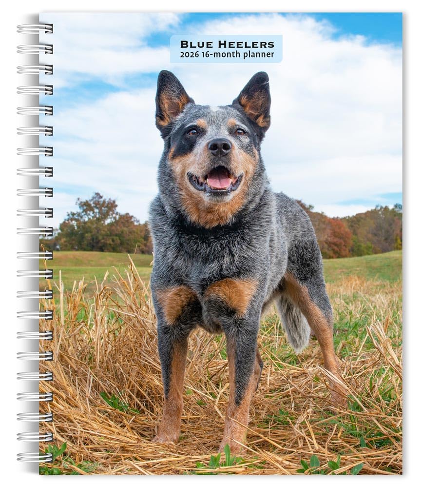 Blue Heelers | 2026 6 x 7.75 Inch Spiral-Bound Wire-O Weekly Engagement Planner Calendar | New Full-Color Image Every Week | BrownTrout | Animals Dog Breeds Pets
