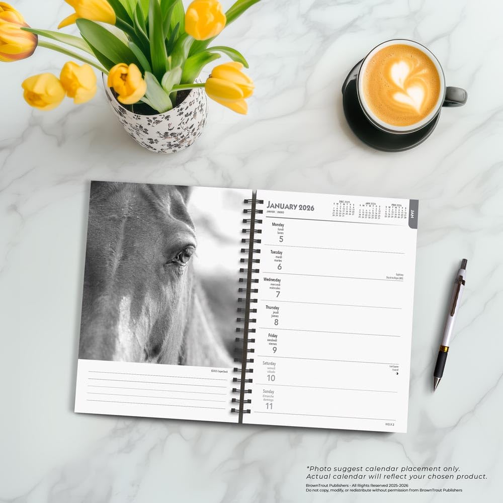 The BrownTrout Portrait Series: The Noble Horse | 2026 6 x 7.75 Inch Spiral-Bound Wire-O Weekly Engagement Planner Calendar | New Image Every Week | Pets Equestrian