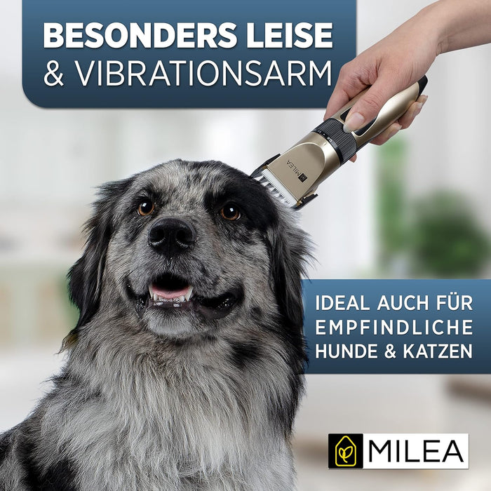 Dies Irae Mounted Map Old Style