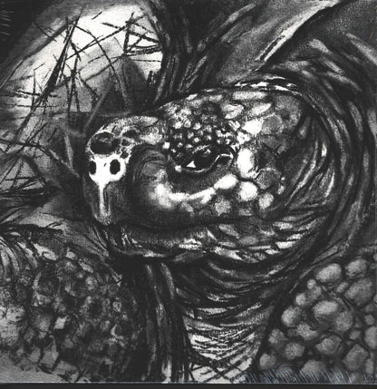 Tortuga