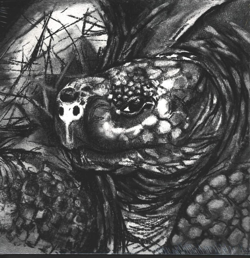 Tortuga