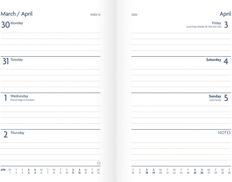 Carousel Worldwide, Hedgehog and Toadstools 2026 A6 Diary Planner