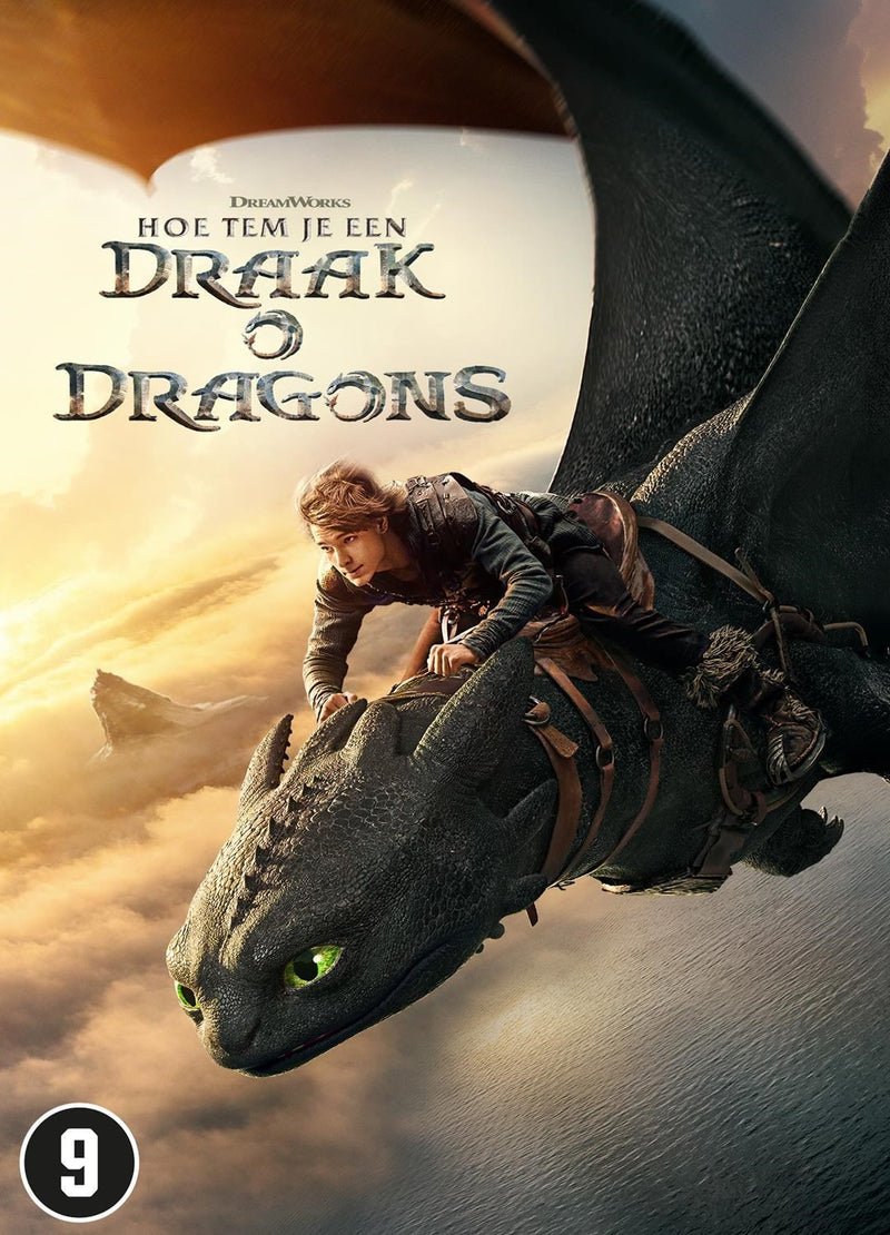 How To Train Your Dragon