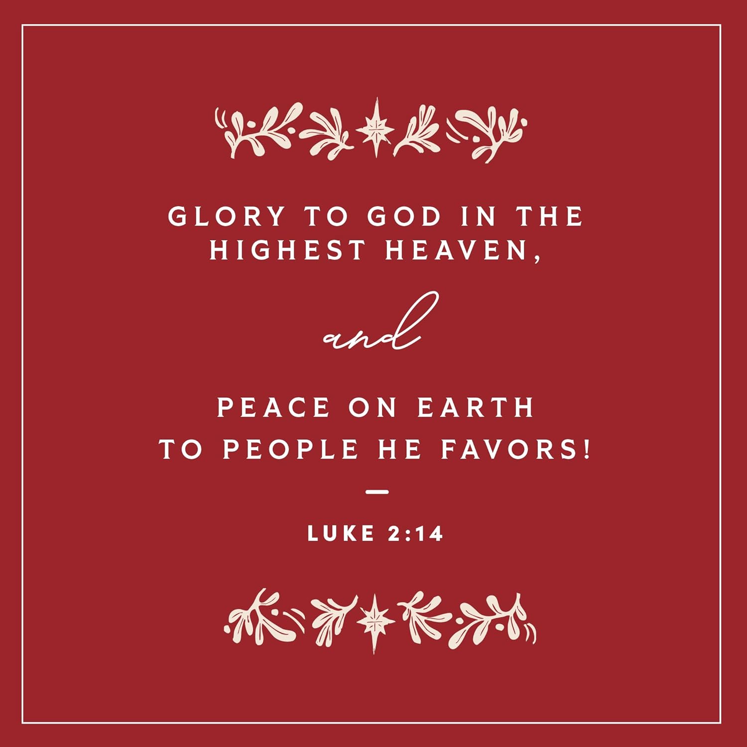 Behold the Savior Advent Bible Study Book