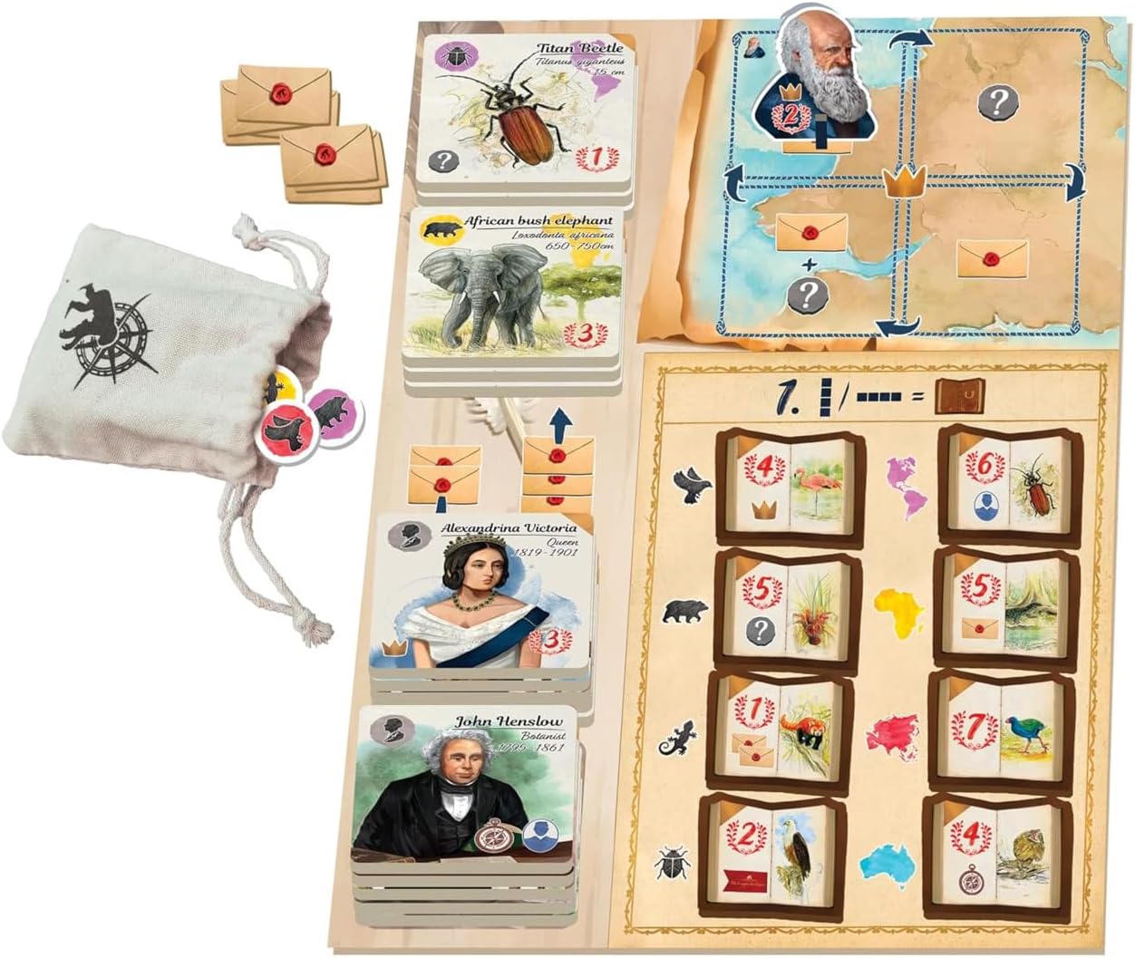 in The Footsteps of Darwin: Correspondence Expansion to Mensa Select Winner | Ages 8+ | 2 to 5 Players | 30 Minutes