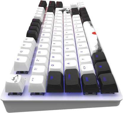 Dark Project One - 87 Fuji - Rgb