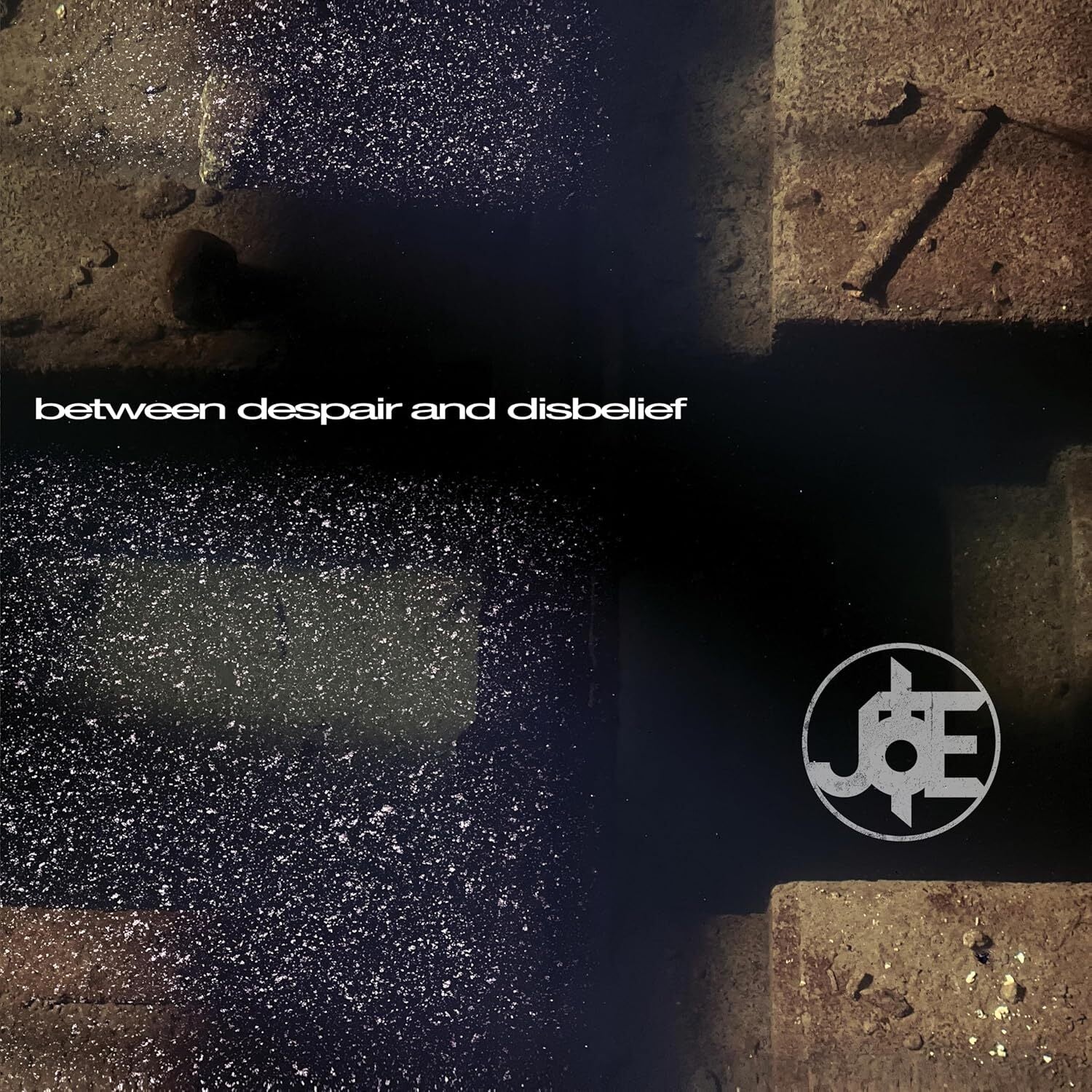 Between Despair and Disbelief