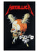 Metallica: Damage Inc. (Bandiera)