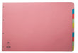 Concord Divider 10-Part A3 Landscape Pastel Colours