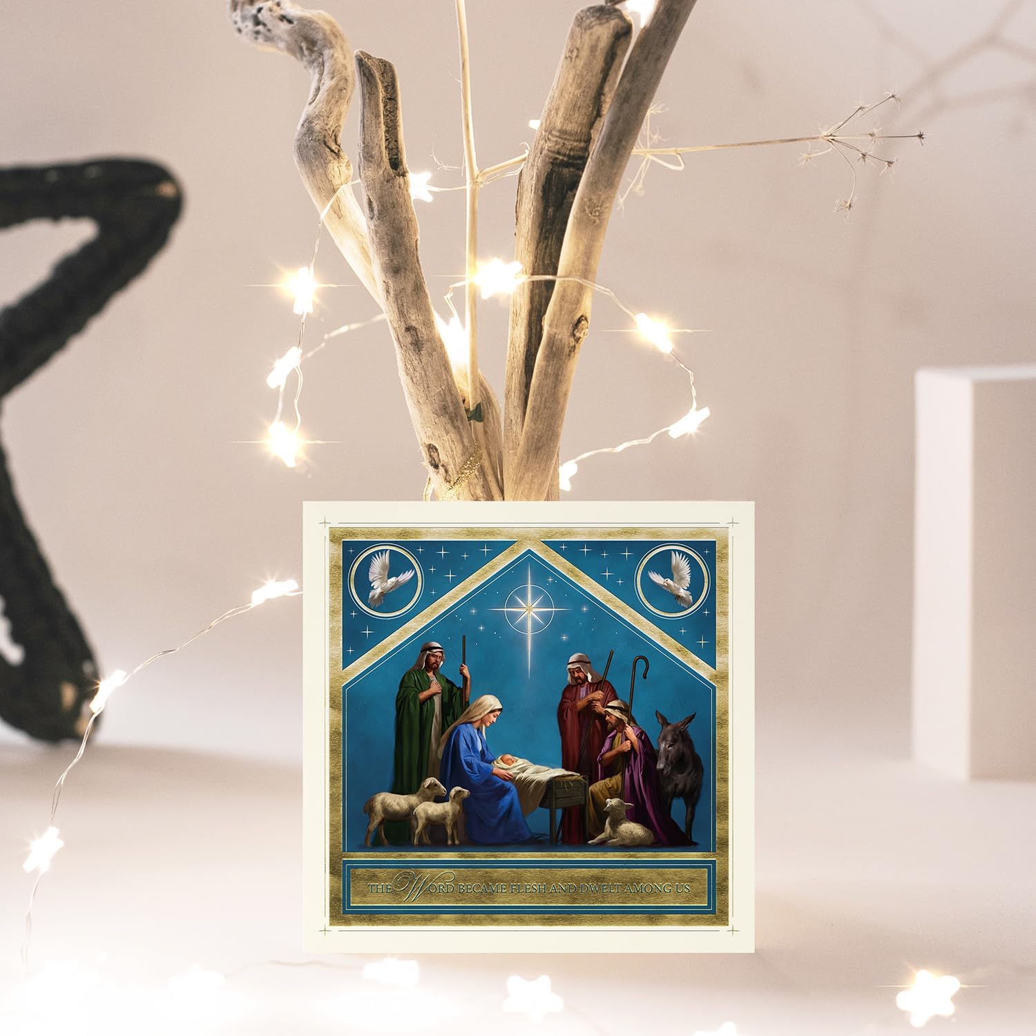 Compassion Christmas Card: Stable/The Word Became Flesh John 1:14 (pack of 10
