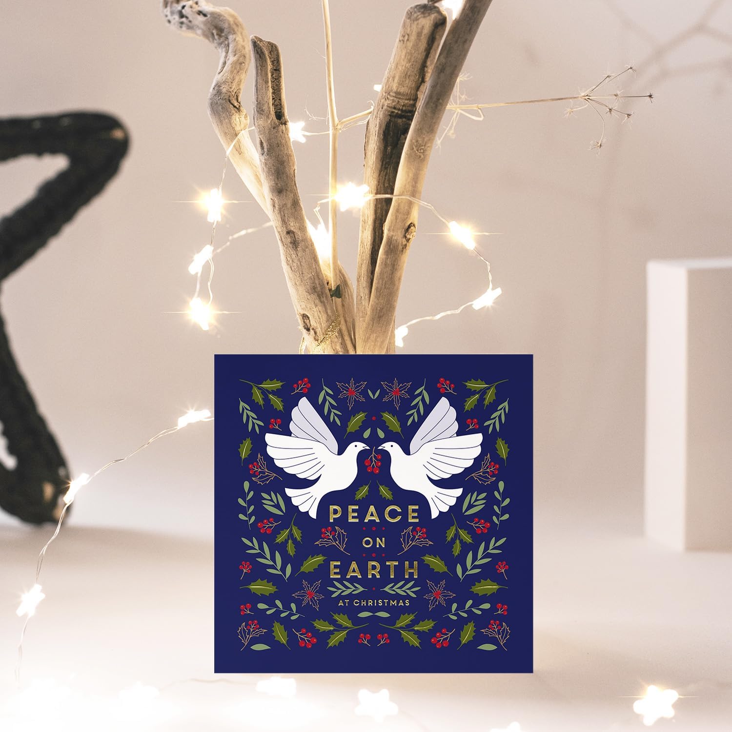 Compassion Christmas Card: Peace Doves (pack of 10