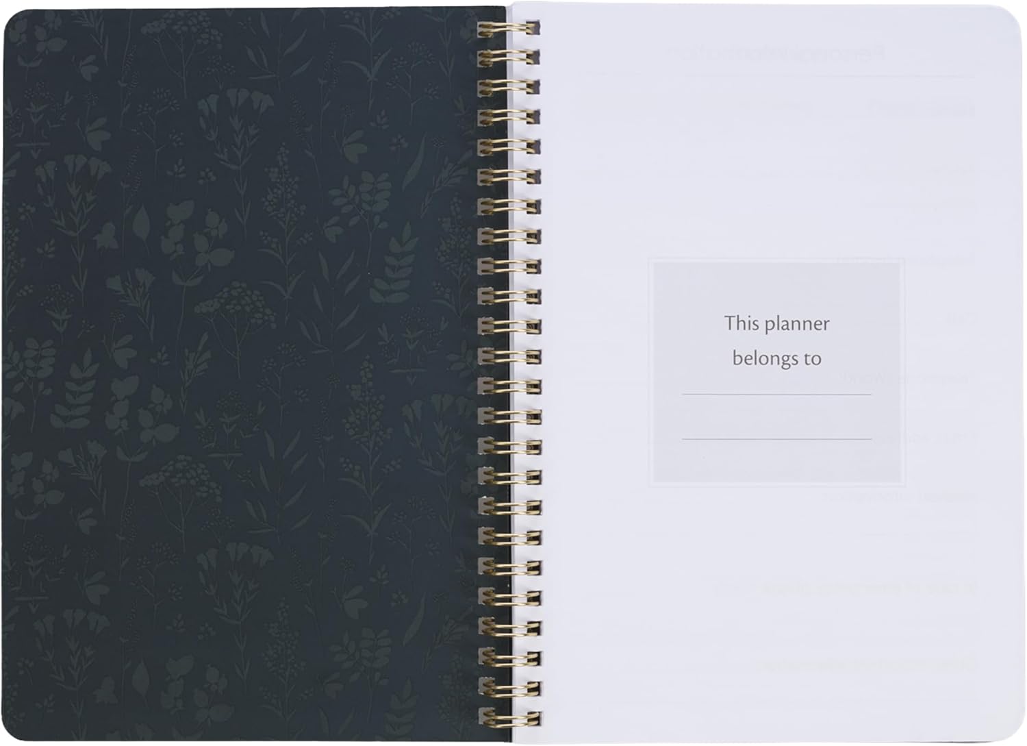 Christian Art Gifts Agenda 2026 compatta a spirale, 12 mesi, da donna: I Know the Plans Incouraging Scripture, pianificazione quotidiana, appuntamenti, vacanze, promemoria, verde scuro e rosa