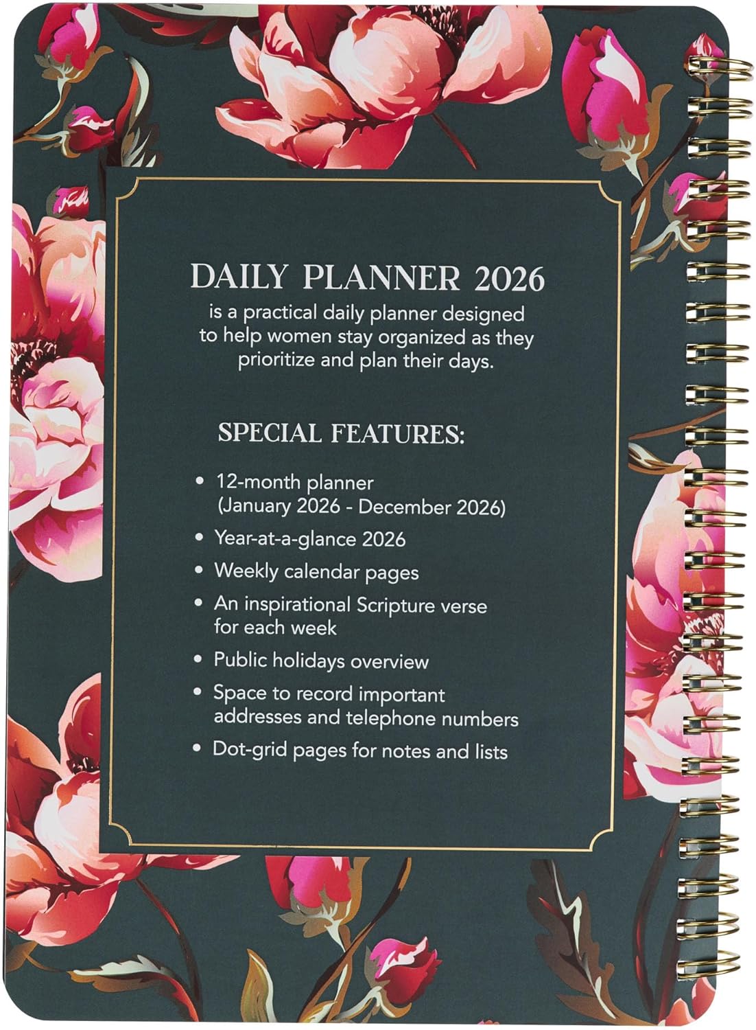Christian Art Gifts Agenda 2026 compatta a spirale, 12 mesi, da donna: I Know the Plans Incouraging Scripture, pianificazione quotidiana, appuntamenti, vacanze, promemoria, verde scuro e rosa