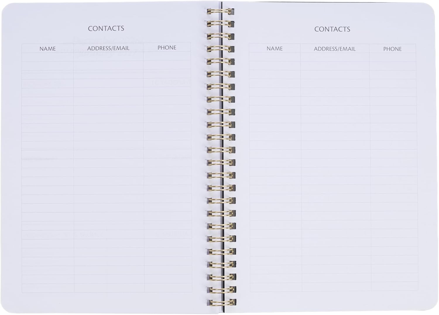Christian Art Gifts Agenda 2026 compatta a spirale, 12 mesi, da donna: I Know the Plans Incouraging Scripture, pianificazione quotidiana, appuntamenti, vacanze, promemoria, verde scuro e rosa