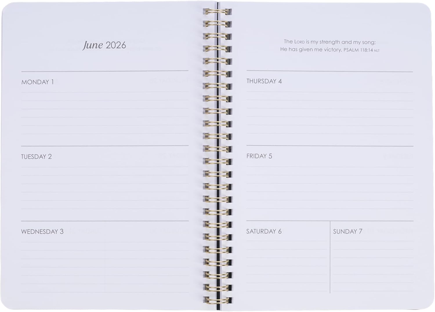 Christian Art Gifts Agenda 2026 compatta a spirale, 12 mesi, da donna: I Know the Plans Incouraging Scripture, pianificazione quotidiana, appuntamenti, vacanze, promemoria, verde scuro e rosa
