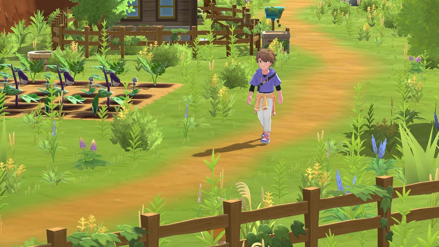 Harvest Moon: Home Sweet Home (Nintendo Switch)