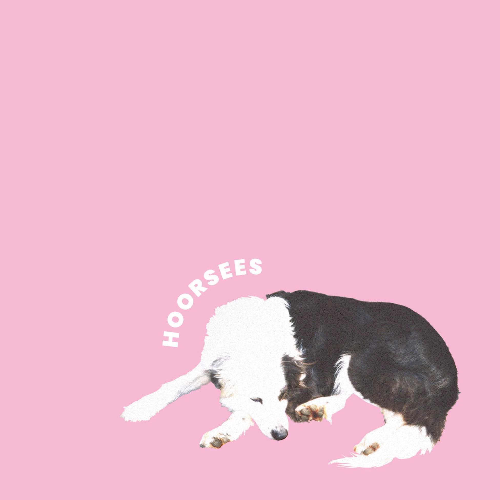 Hoorsees - Hoorsees (Lp)