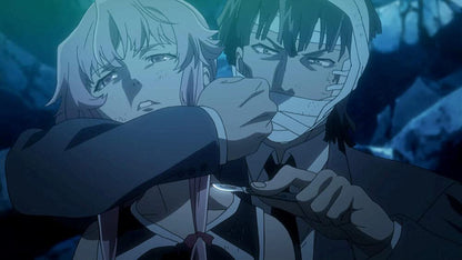 Mirai Nikki - The Future Diary - Box 1/2 - Dvd