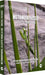 Metamorphosis La Lutte Pour La Vie