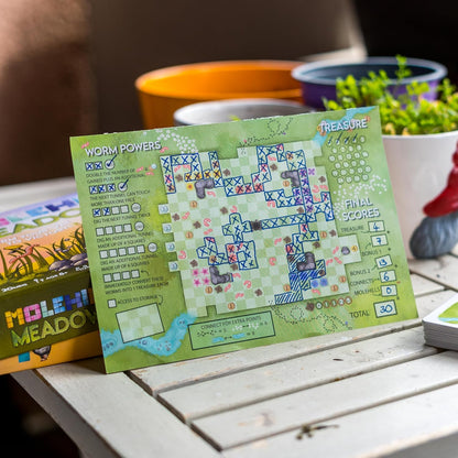 Molehill Meadows | Board game | Ages 8+ | 1-100 Players | 20 Minutes Playing Time