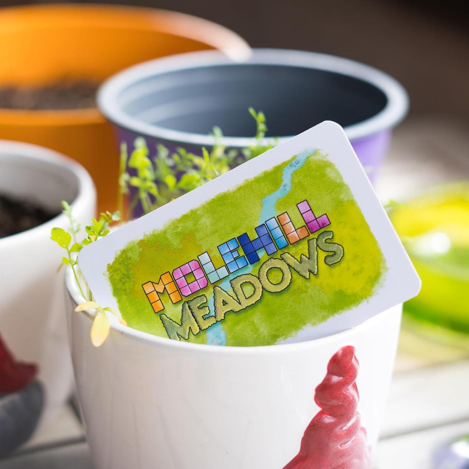 Molehill Meadows | Board game | Ages 8+ | 1-100 Players | 20 Minutes Playing Time