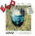 Acid in Wounderland Edition