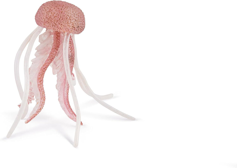 PAPO - Figurina di Medusa dai 3 anni in su - Collezione di Animali Marini Realistici e Dettagliati - Giocattolo Educativo per Bambini - Idea Regalo a Tema Marino - Decorazione Oceano