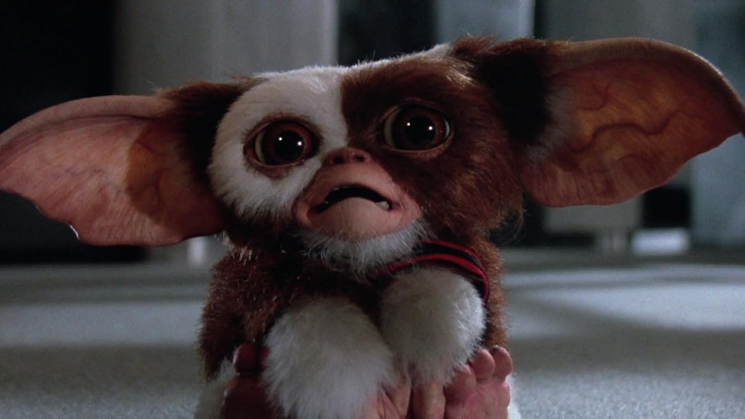 Gremlins + Gremlins 2 : La nouvelle génération