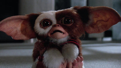 Gremlins + Gremlins 2 : La nouvelle génération