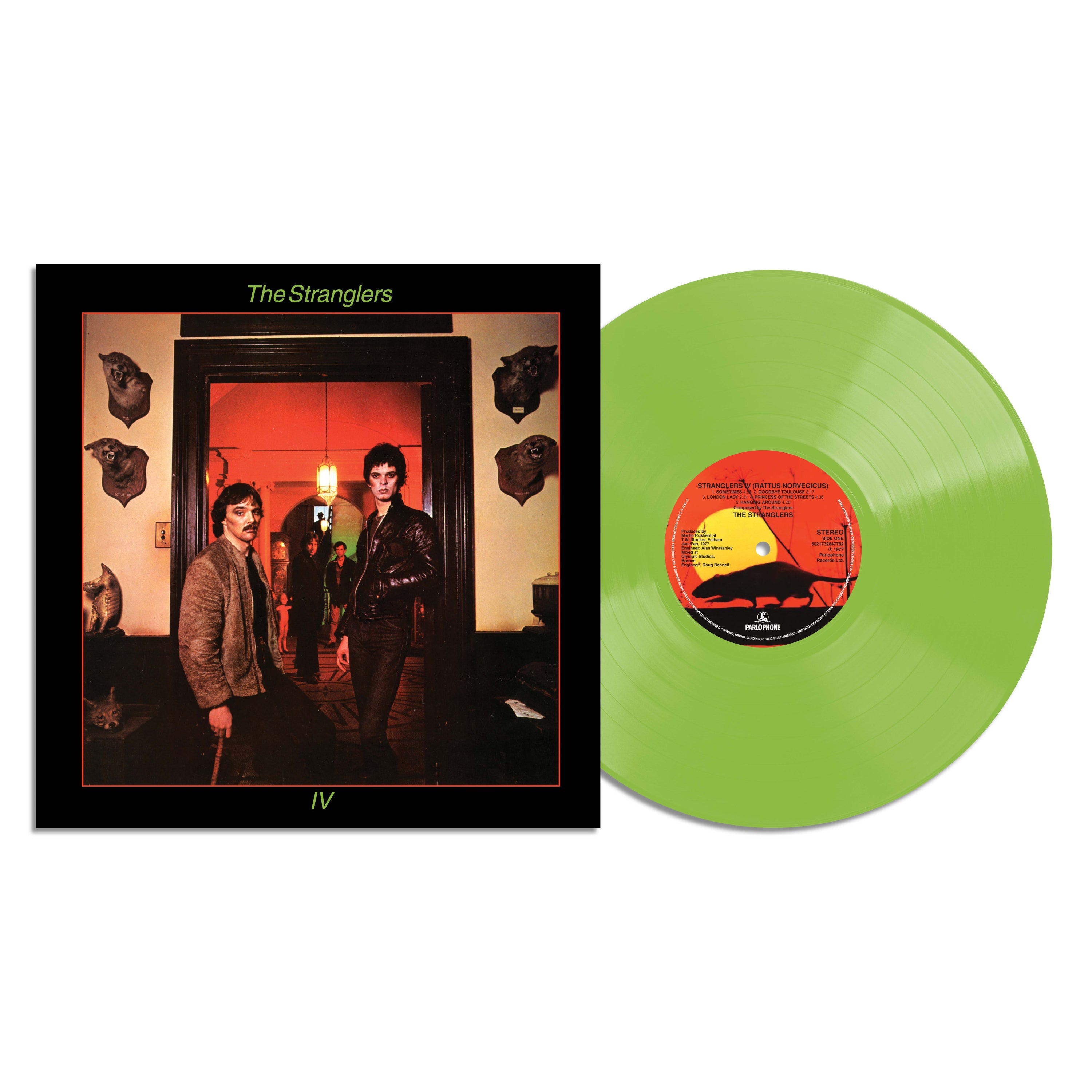 Rattus Norvegicus (National Album Day 2025)