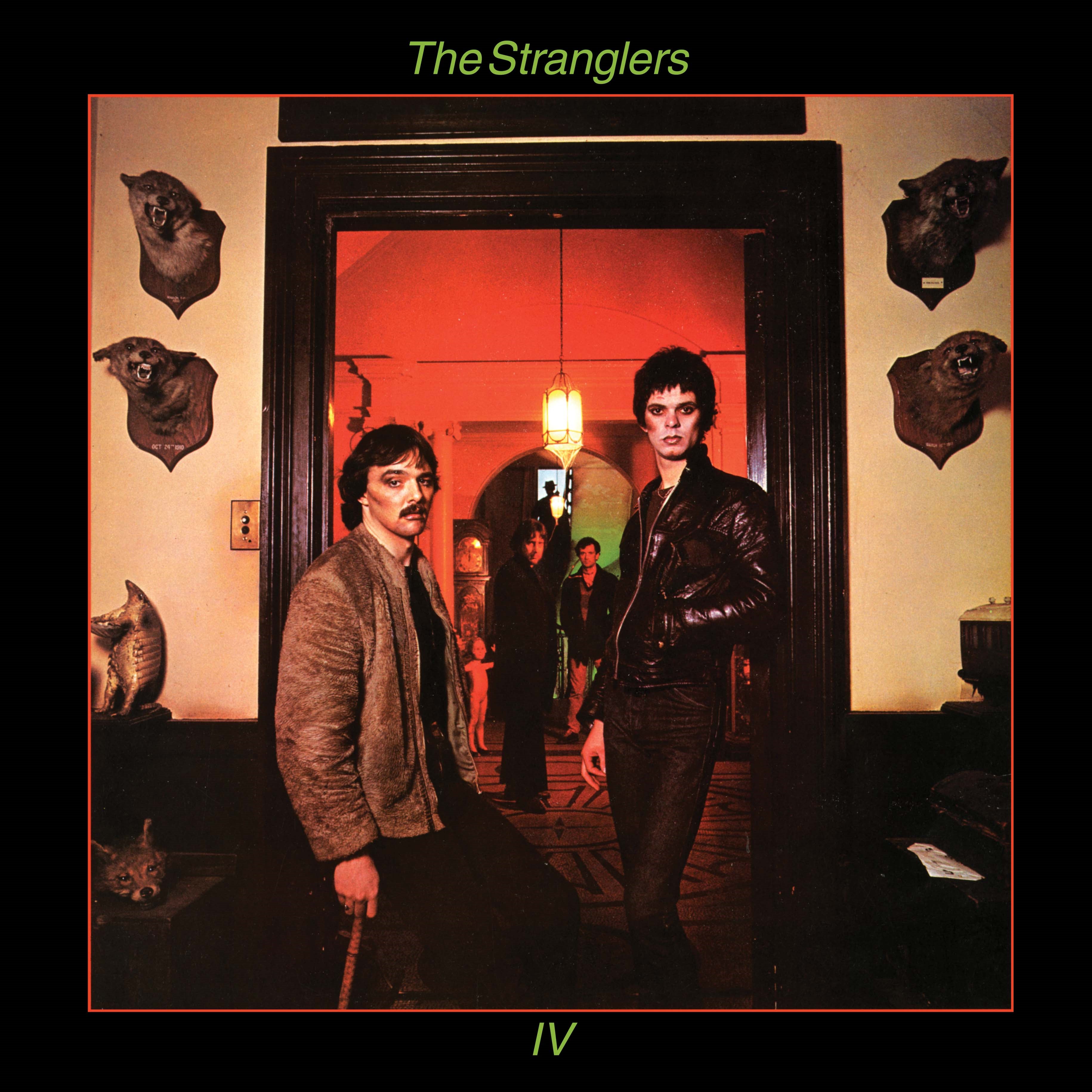 Rattus Norvegicus (National Album Day 2025)