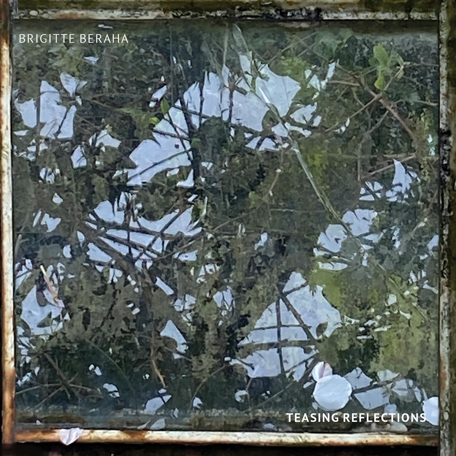 Teasing Reflections