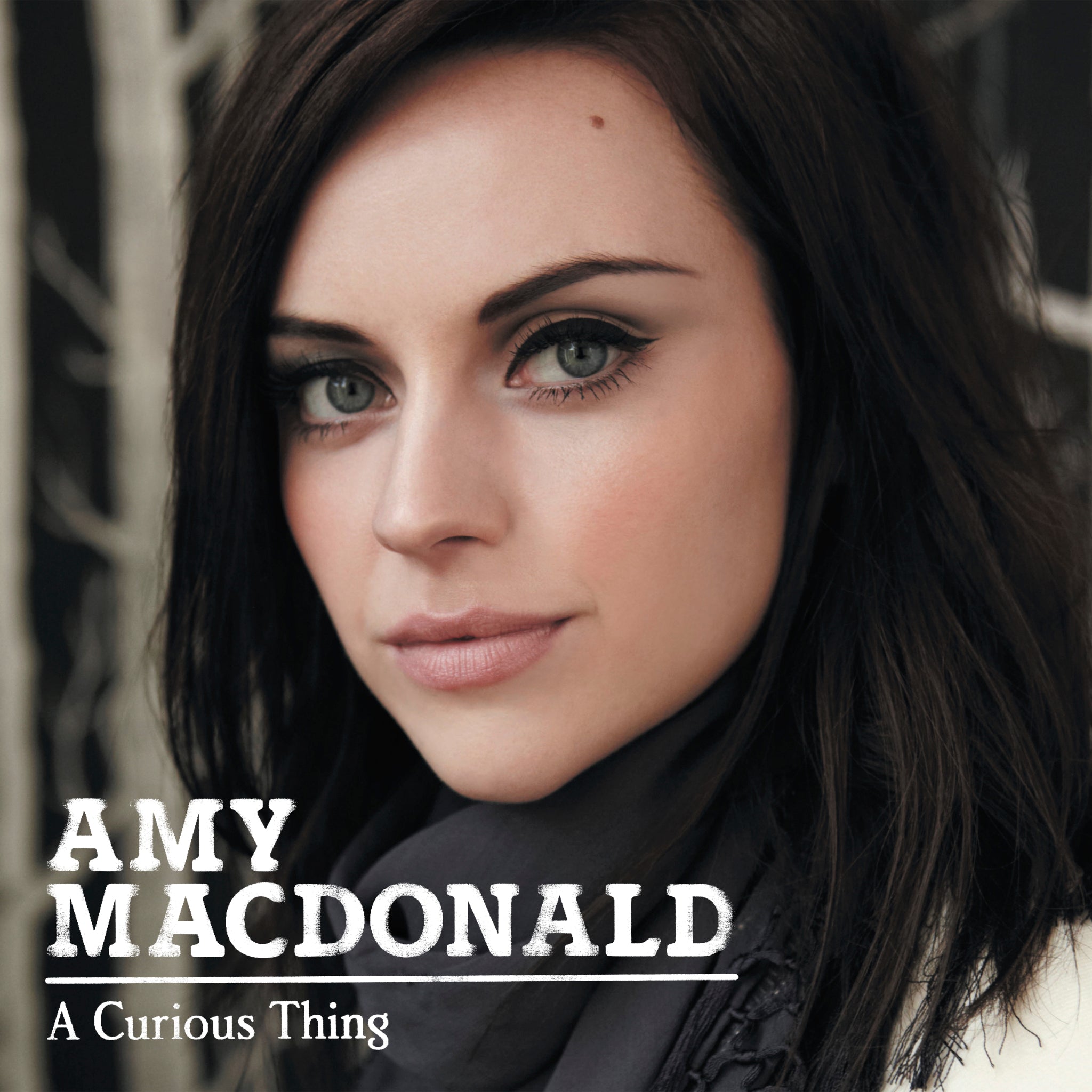 A Curious Thing (National Album Day 2025)